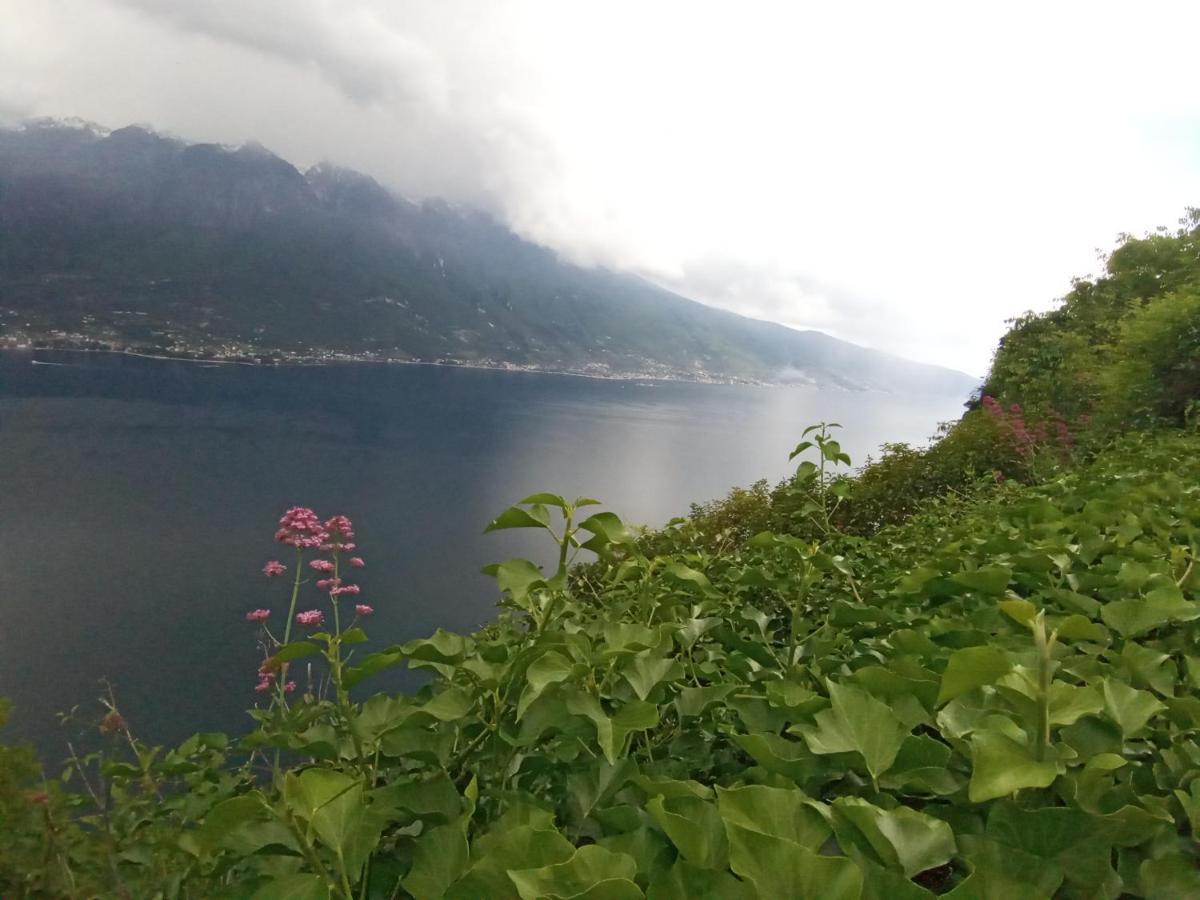 Appartamenti Residenza 1928 Tremosine Bagian luar foto